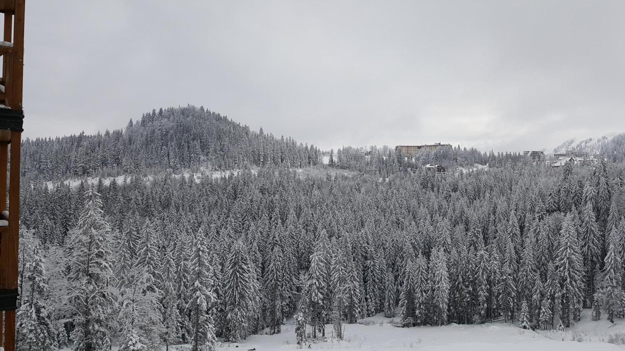 Apartments B229 & B230 In Aparthotel Vucko, Jahorina -Private Host Экстерьер фото